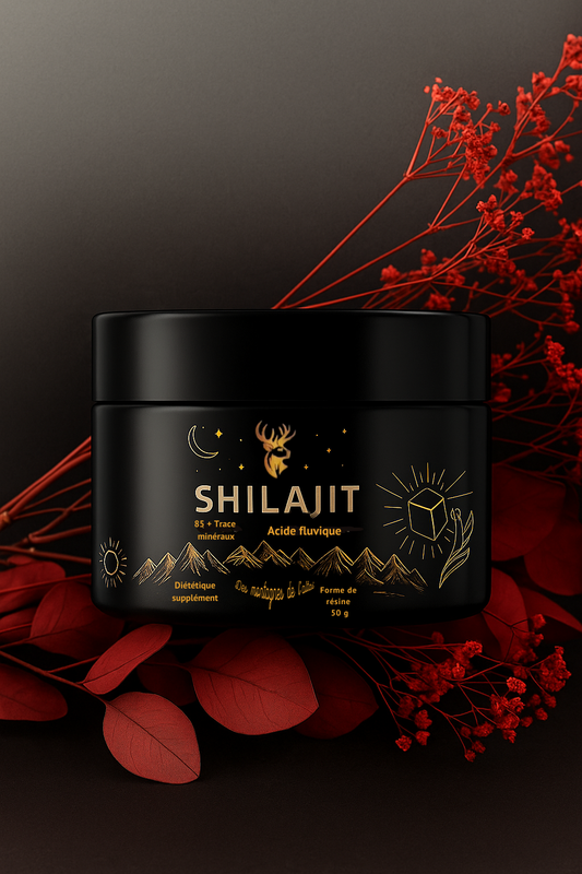 RÉSINE SHILAJIT